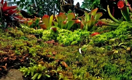 bio diversity park 1
