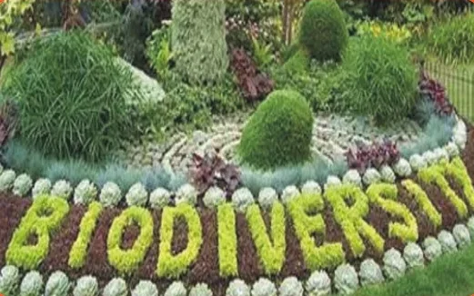 bio diversity park