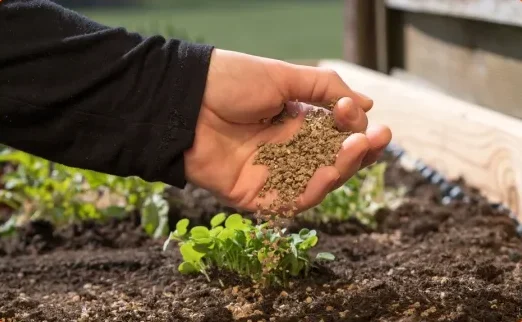 bio fertilizer plant 1