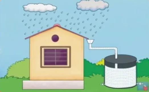 rain water harvesting