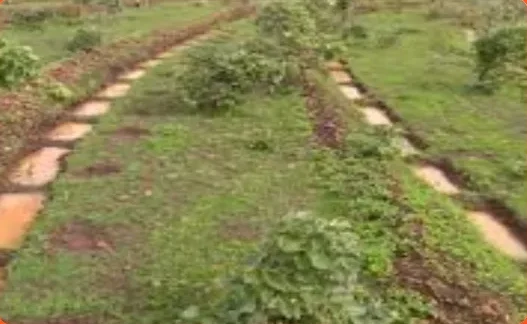 soil water conservation 2