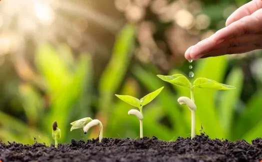 soil water conservation