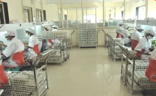 tissue culture lab 2