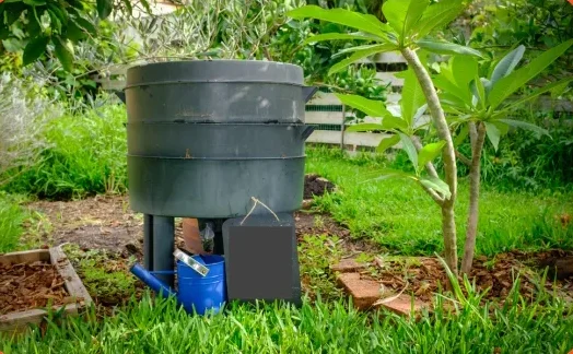 vermi composting 2